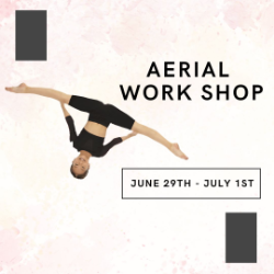 Aerial Workshop